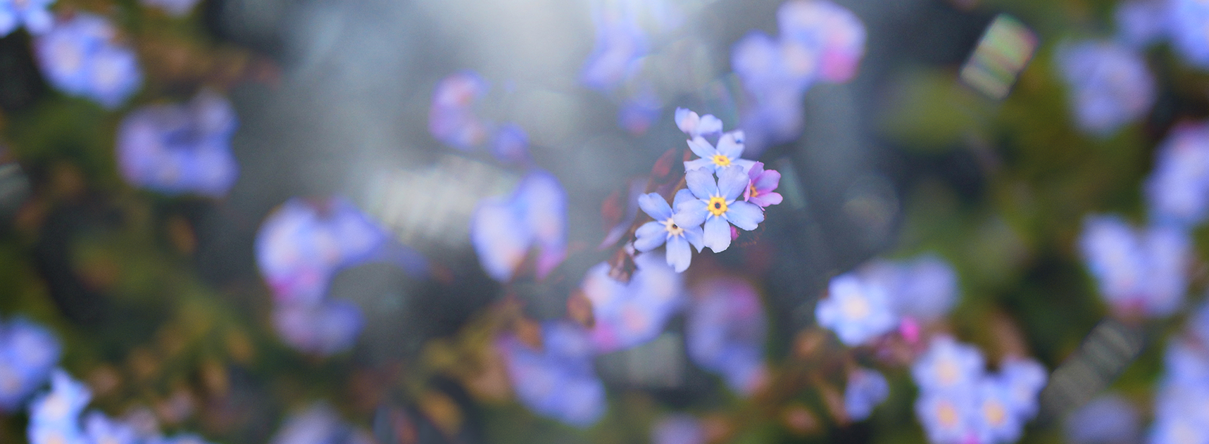 How to create soft and dreamy effects?