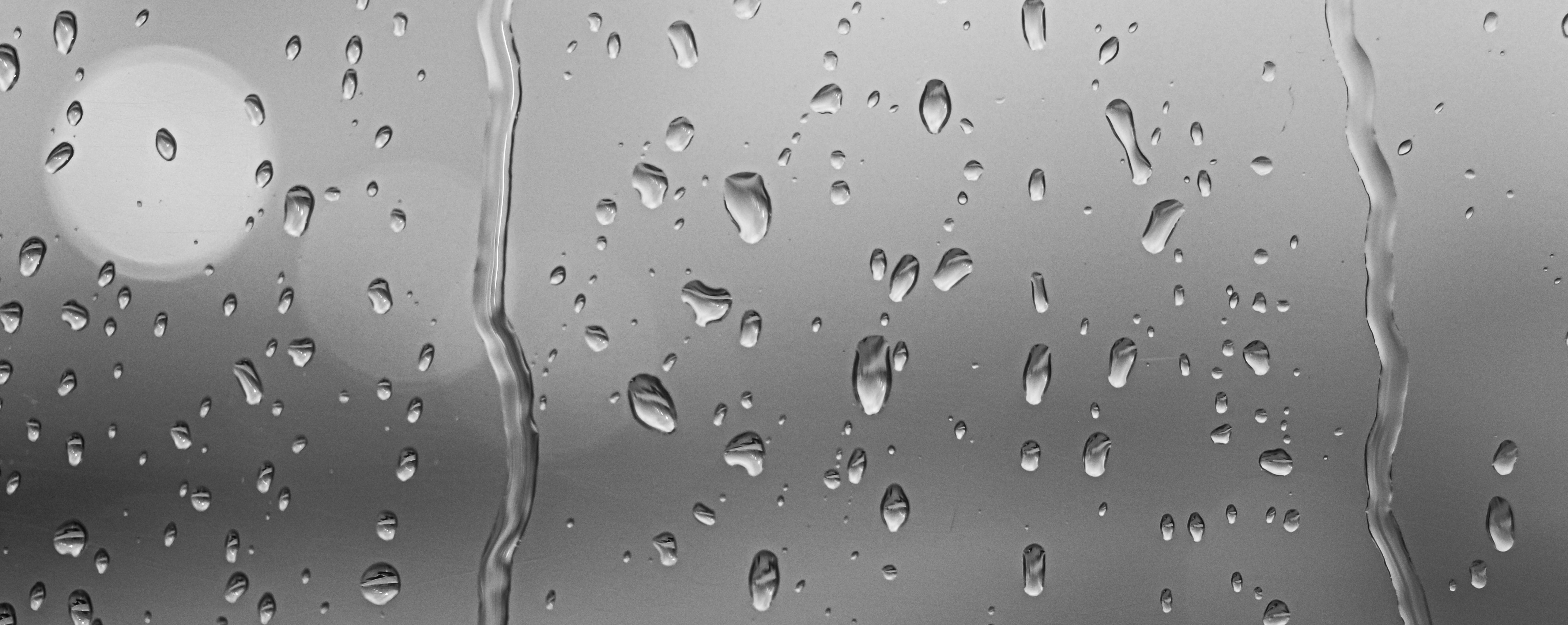 Curiosity, creativity and the sense of aesthetics