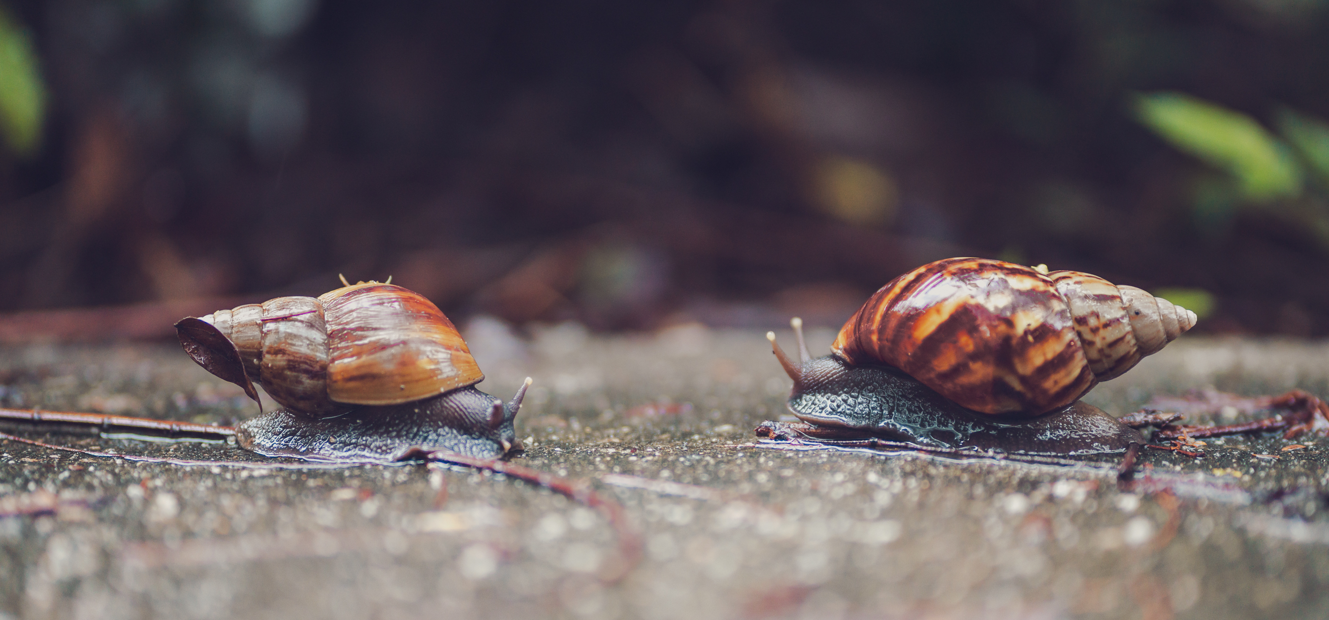 Storytelling in Photography