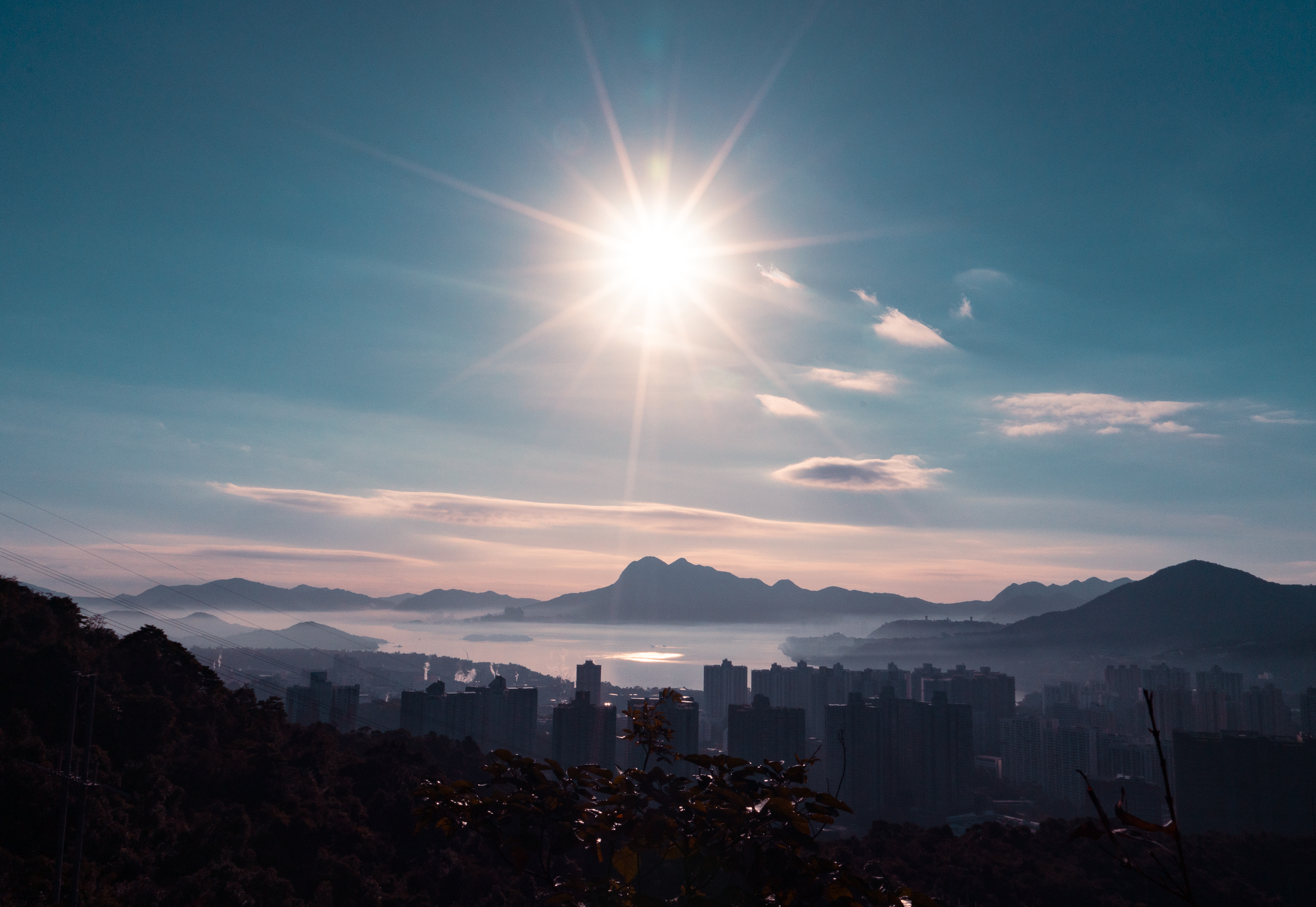 Elevate Your Phone Photography: 4 Composition Tips (with photo examples)