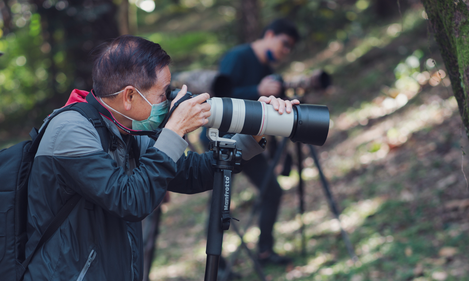 When to Use Prime Lenses in Photography