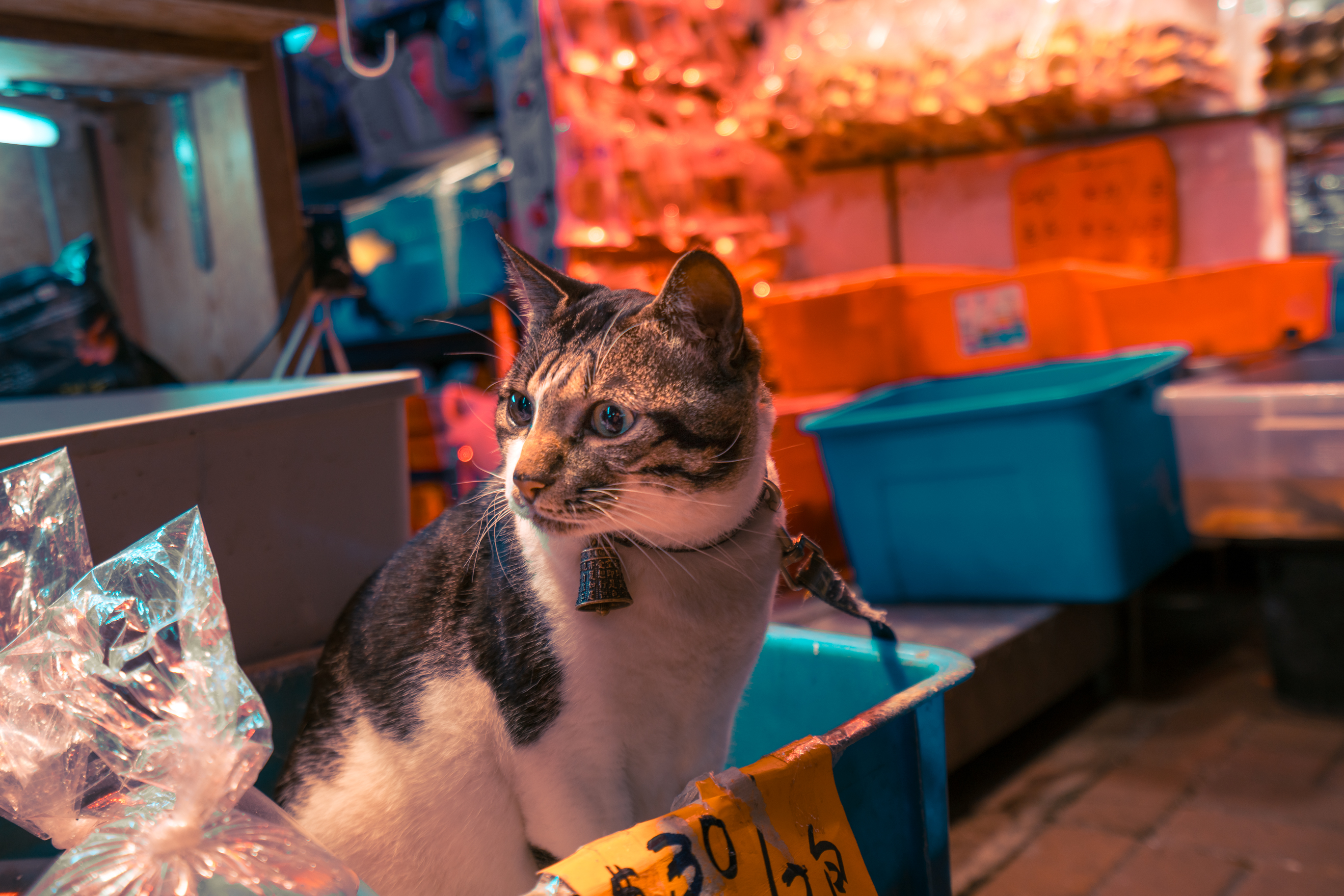 Night Street Photography Tips