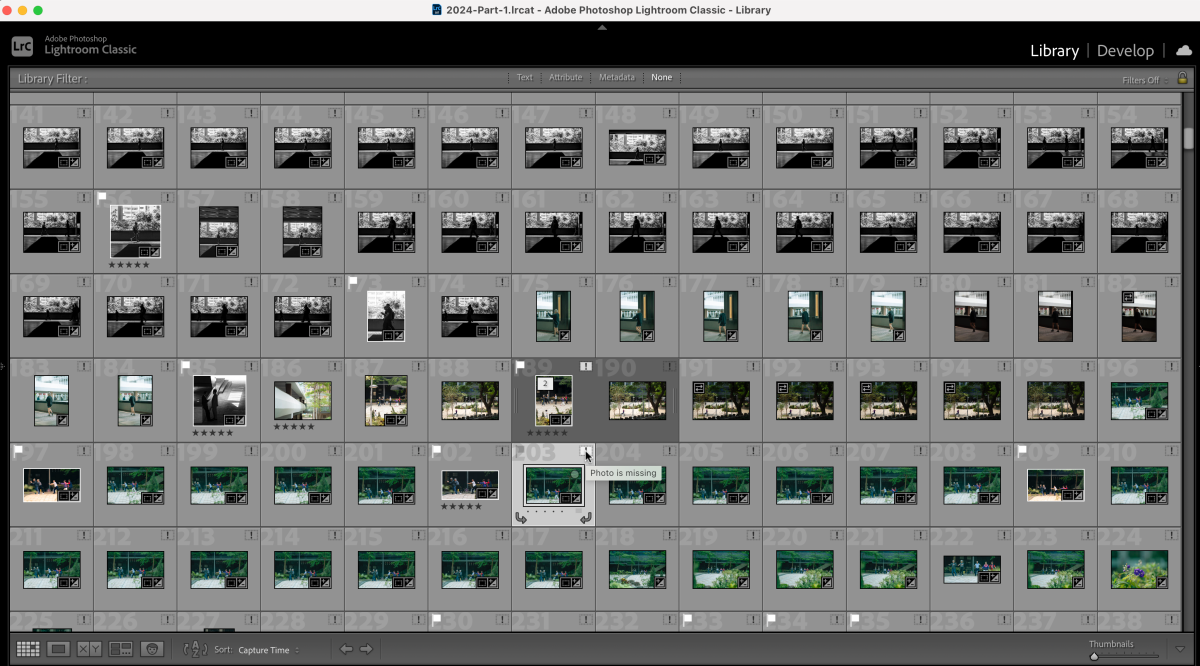 3 Ways to Speed Up Your Lightroom Catalog and Free Up Storage Space